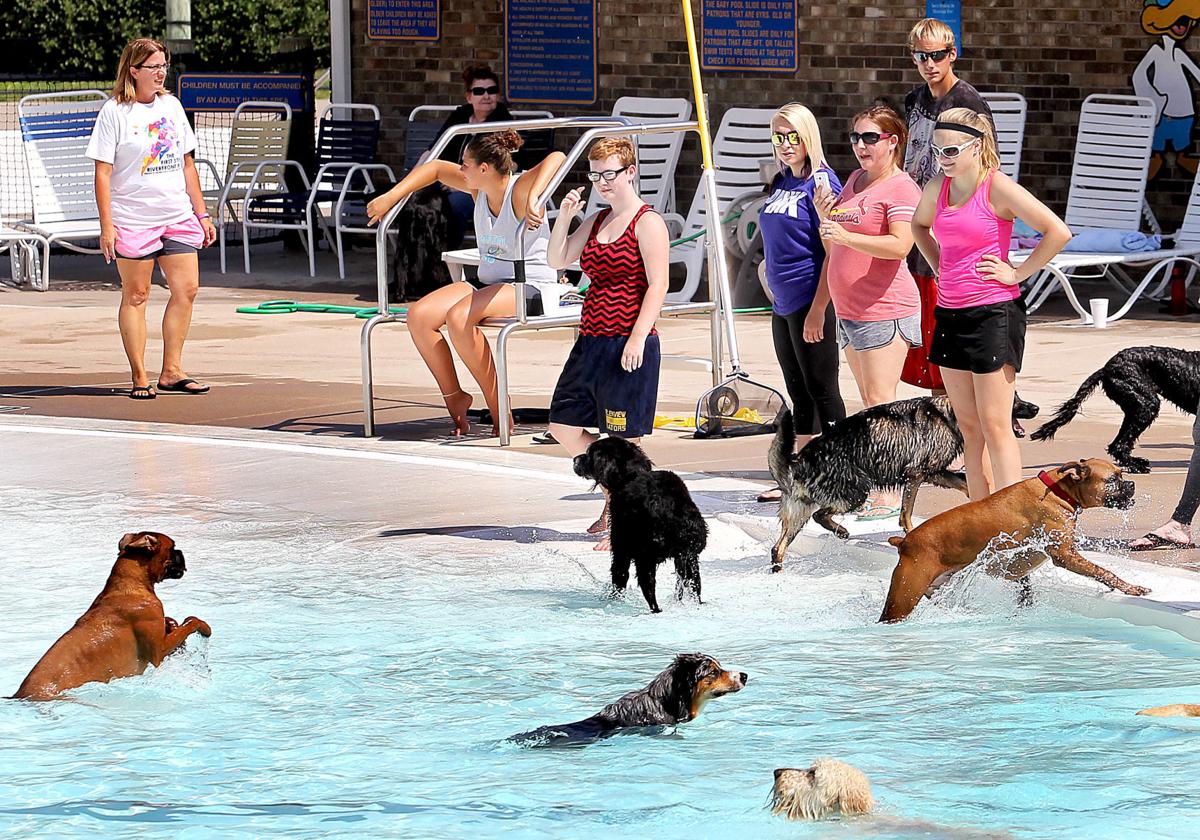 Ask the Times Few public places allow dogs to swim anytime Ask the