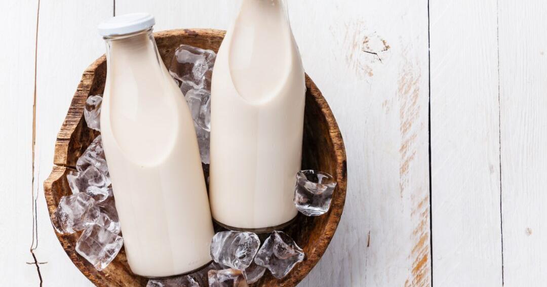 How 4 common milk alternatives compare in nutrition | Health and Fitness