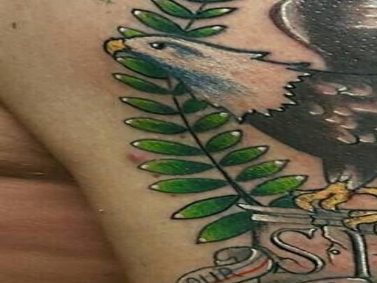 Iowa Legislator Gets Senate Tattoo Iowa News Qctimes Com