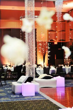 Tamara Wendt Design