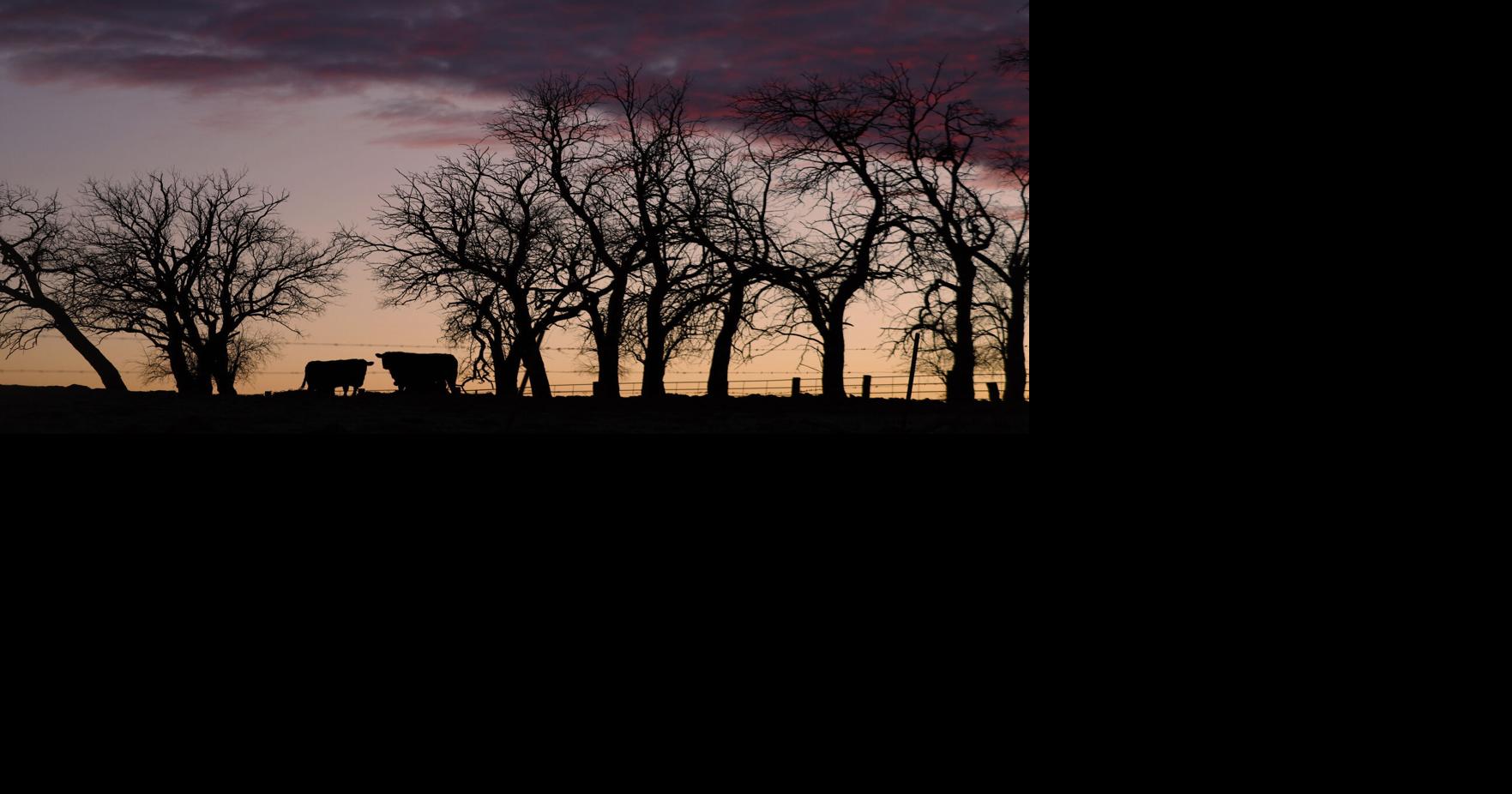 Week in Iowa: RAGBRAI route, a casino moratorium and a centenarian lunch club