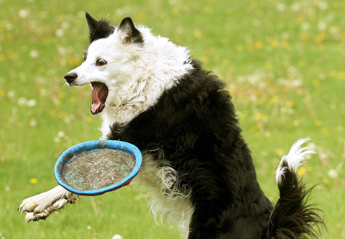 Playing catch