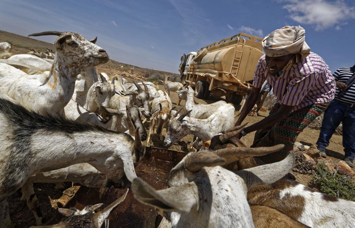 Somalia Droughts Toll