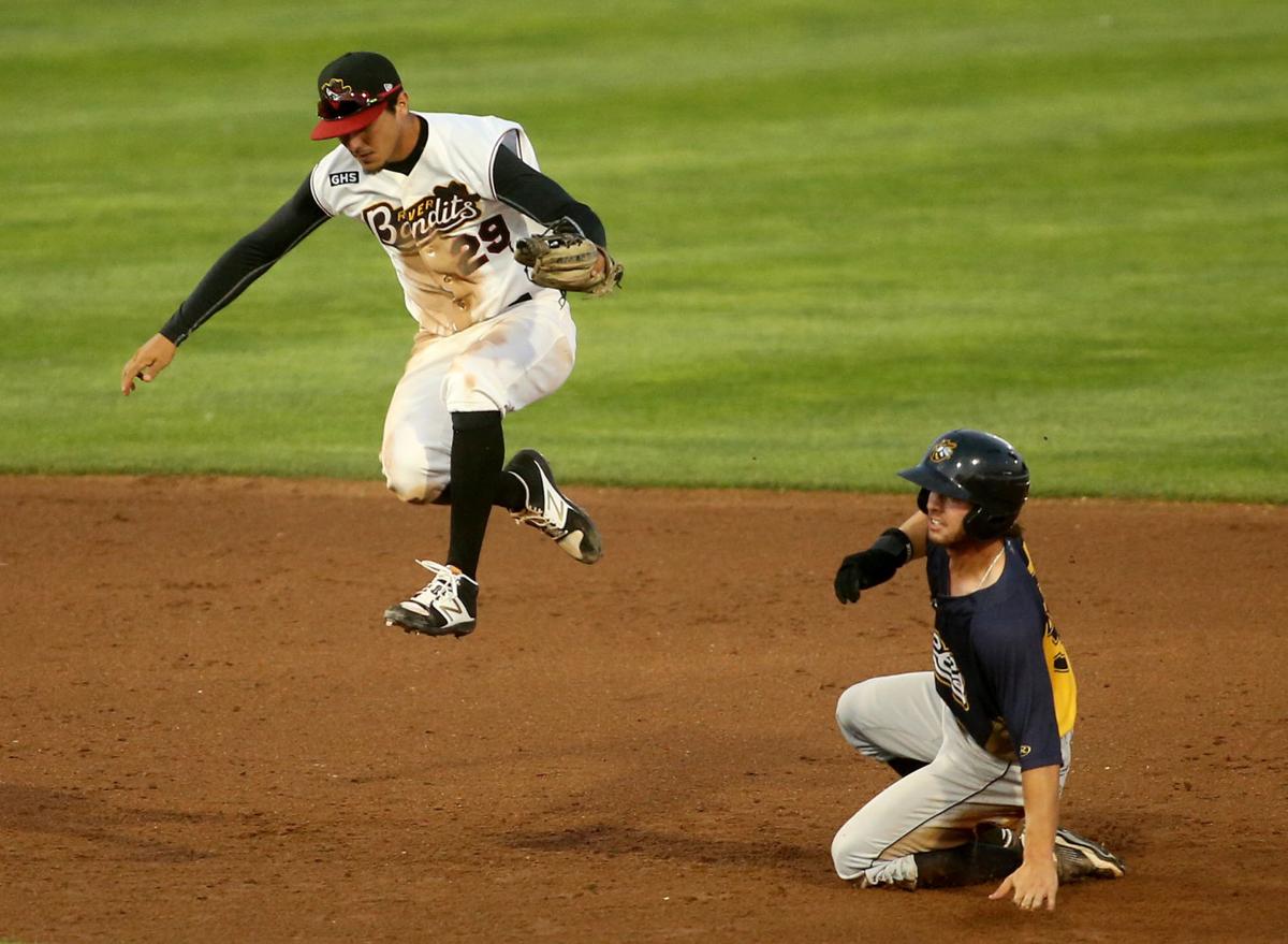 080417-bandits-bees-004