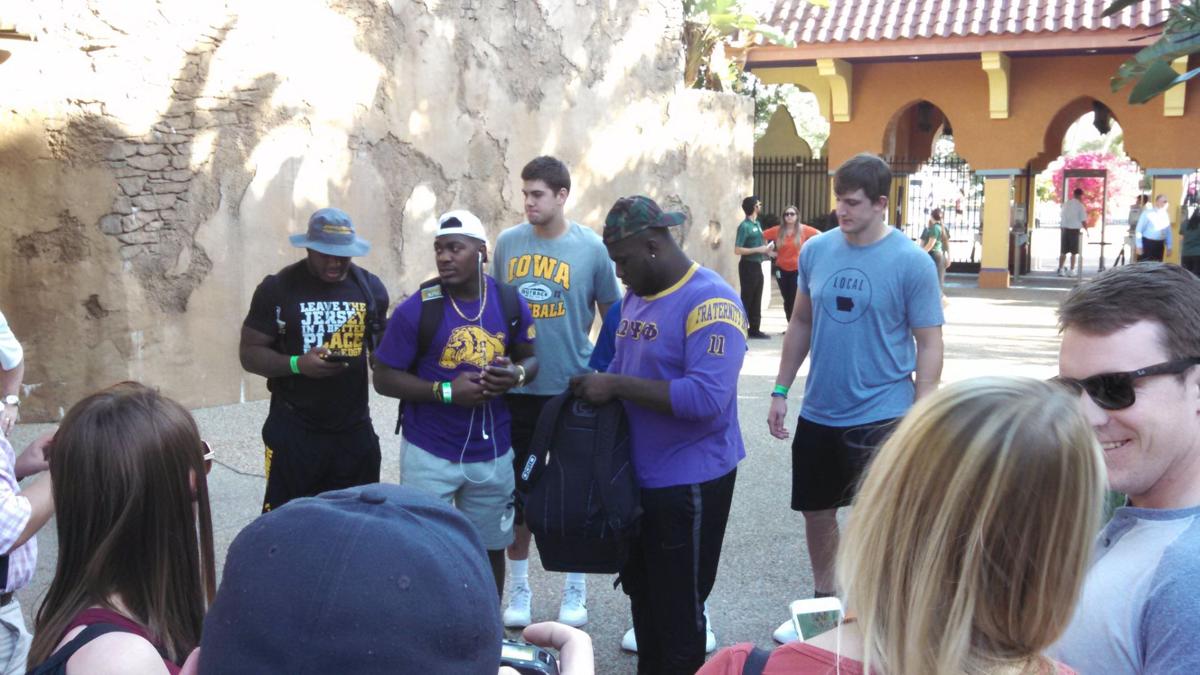 Outback Bowl