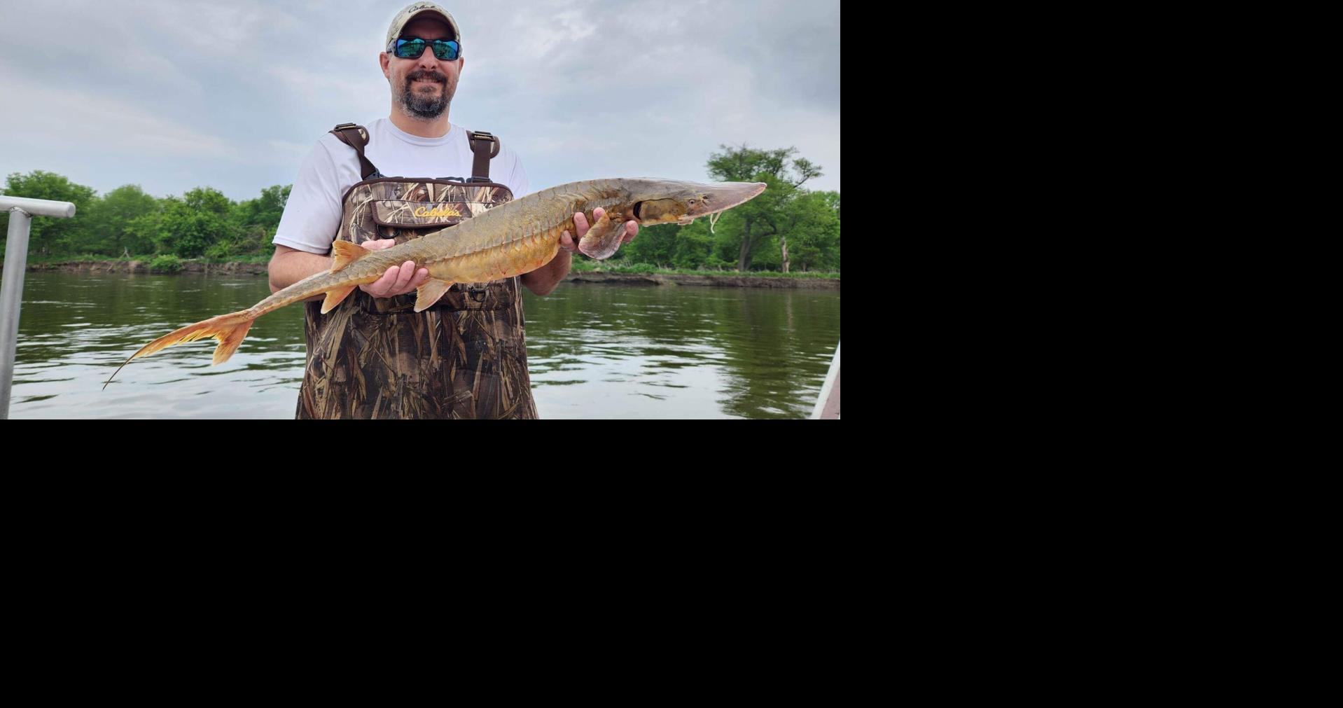 World Outdoors: Retired IADNR biologist to discuss unique fish of  Mississippi River, commercial fishing
