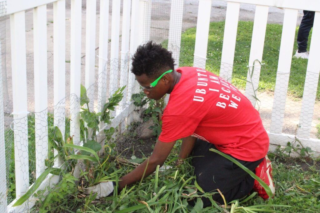 One Lawn at a Time: How YWCA Youth Are Growing Skills While Giving Back