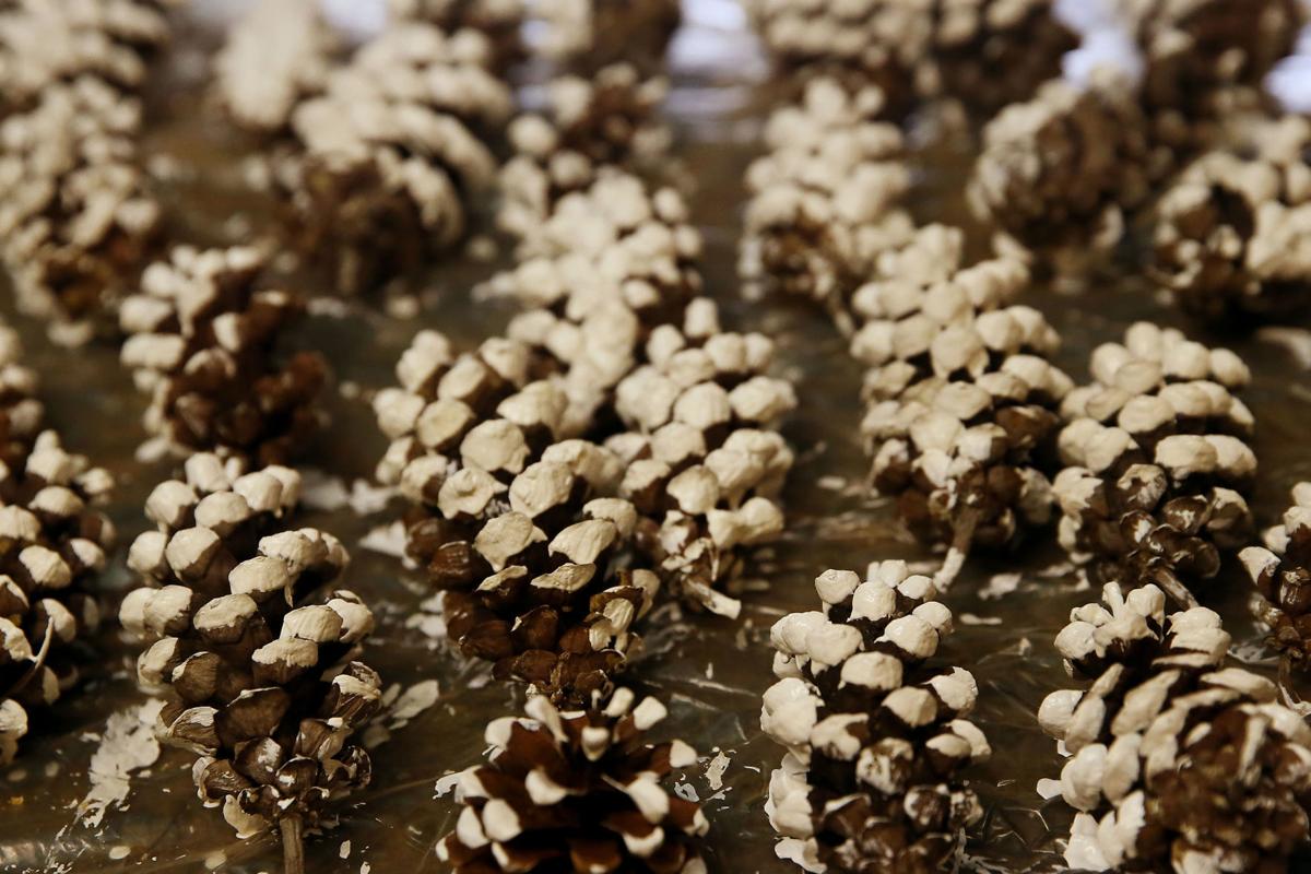 Christmas tree farm in Moline closed for the season 'We're sorry