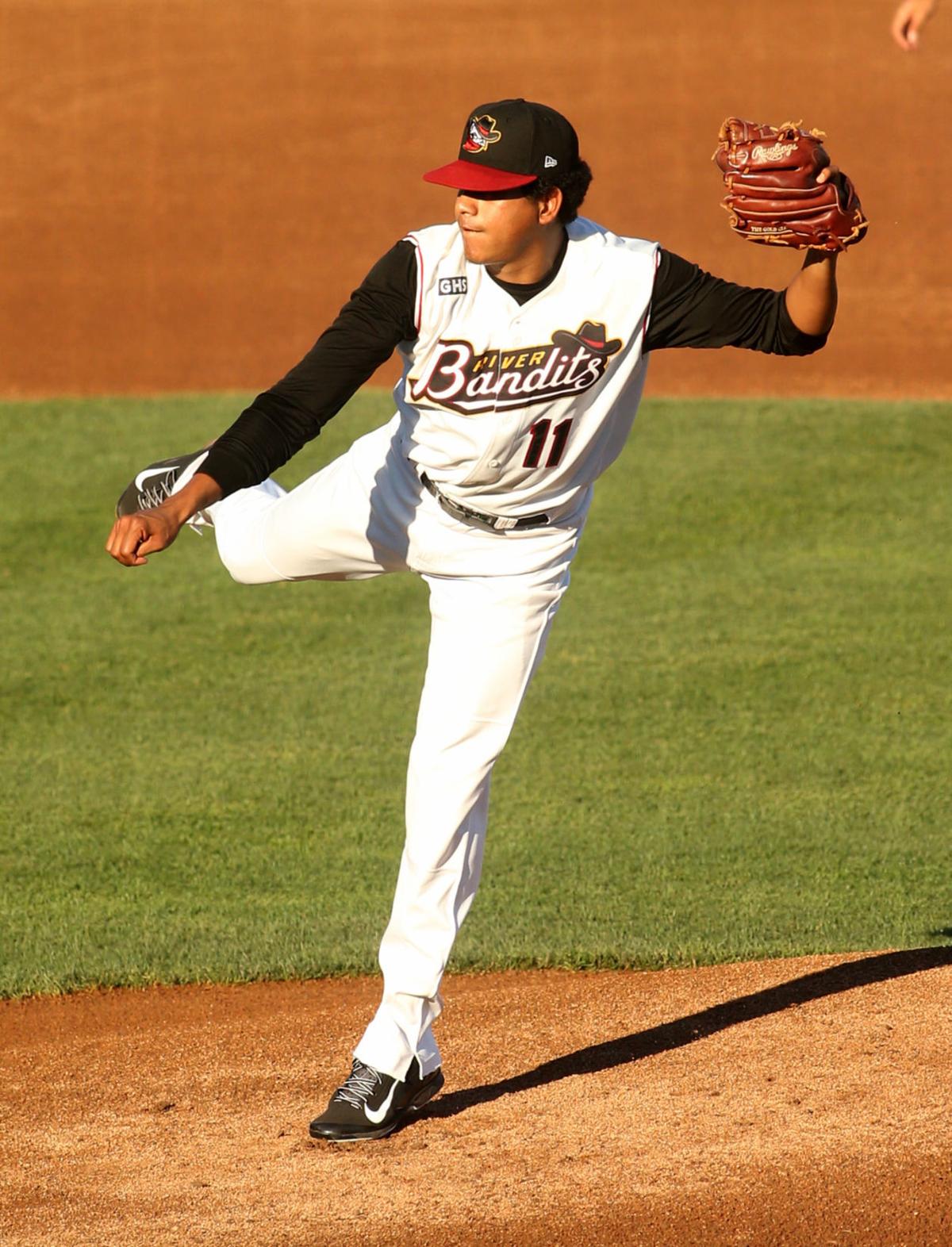 080417-bandits-bees-012