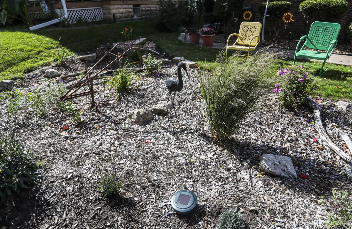 Ri Couple Installs 4 Rain Gardens To Catch Storm Water Home Garden Qctimes Com