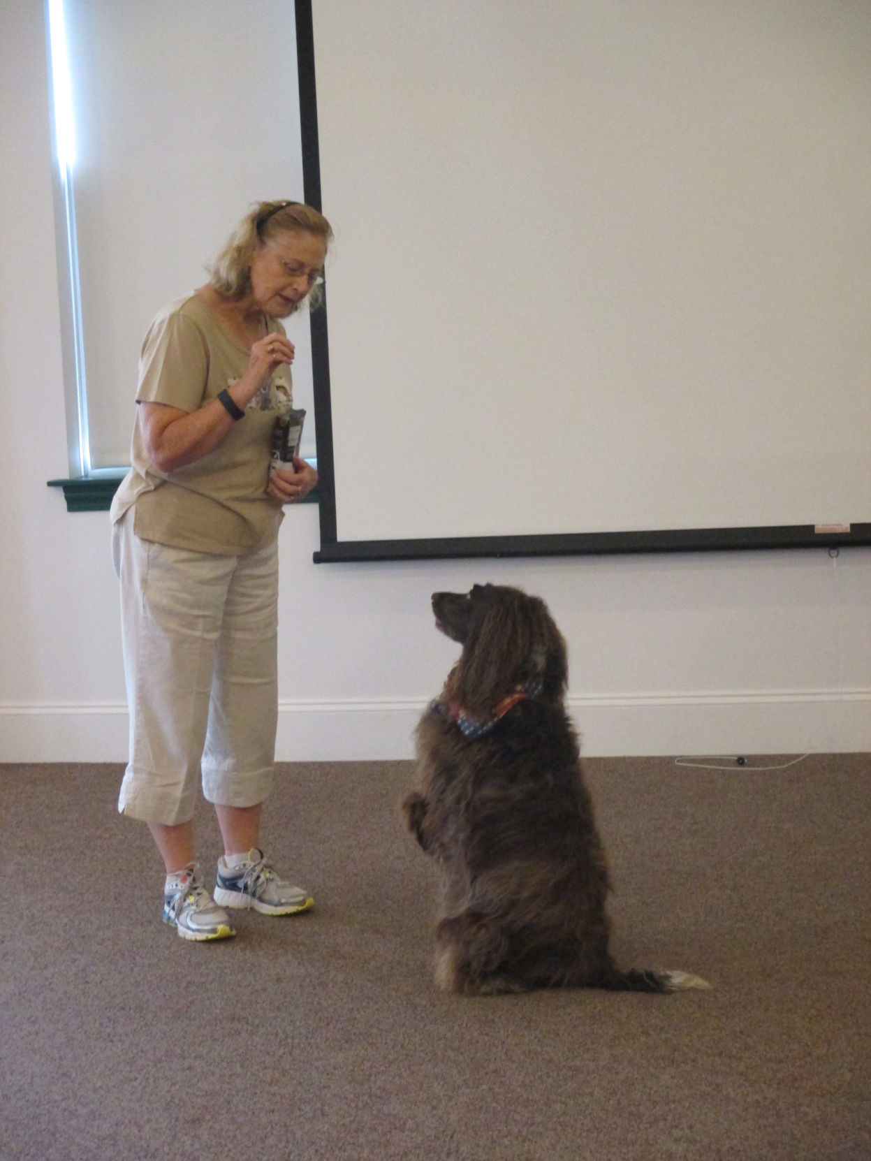 local dog behaviorist