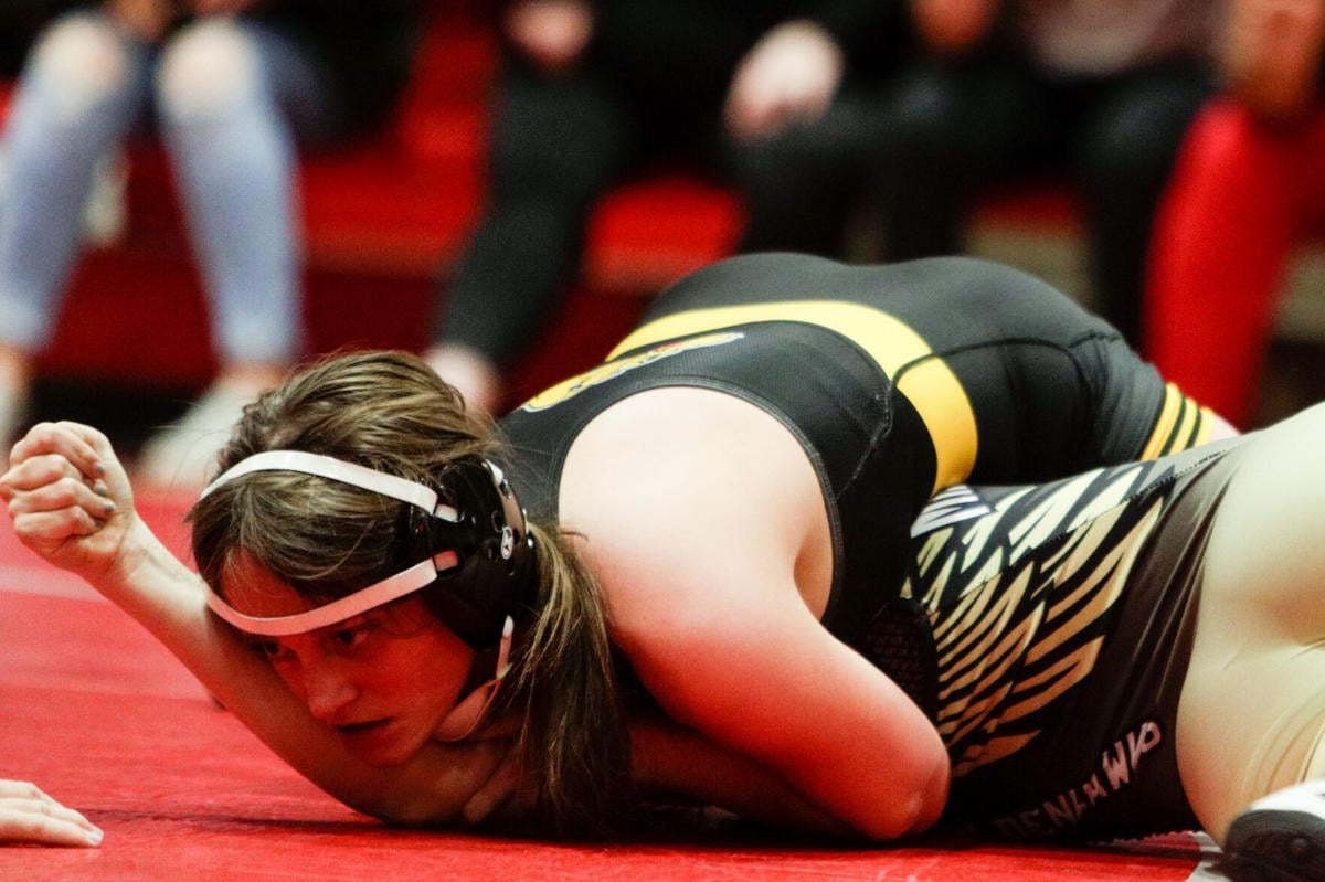 11 from western Iowa squads advance to state wrestling meet