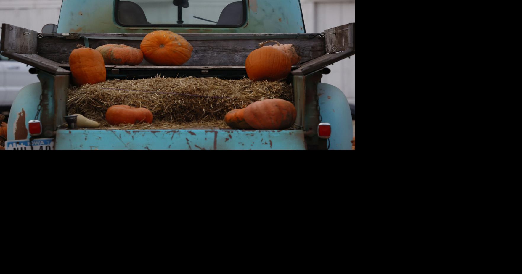 Photos: Scenes from the Little Red Barn pumpkin patch