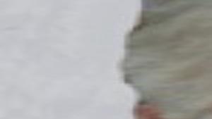 Patricia Sayles Obituaries Qctimes Com