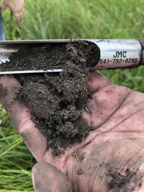 soil test