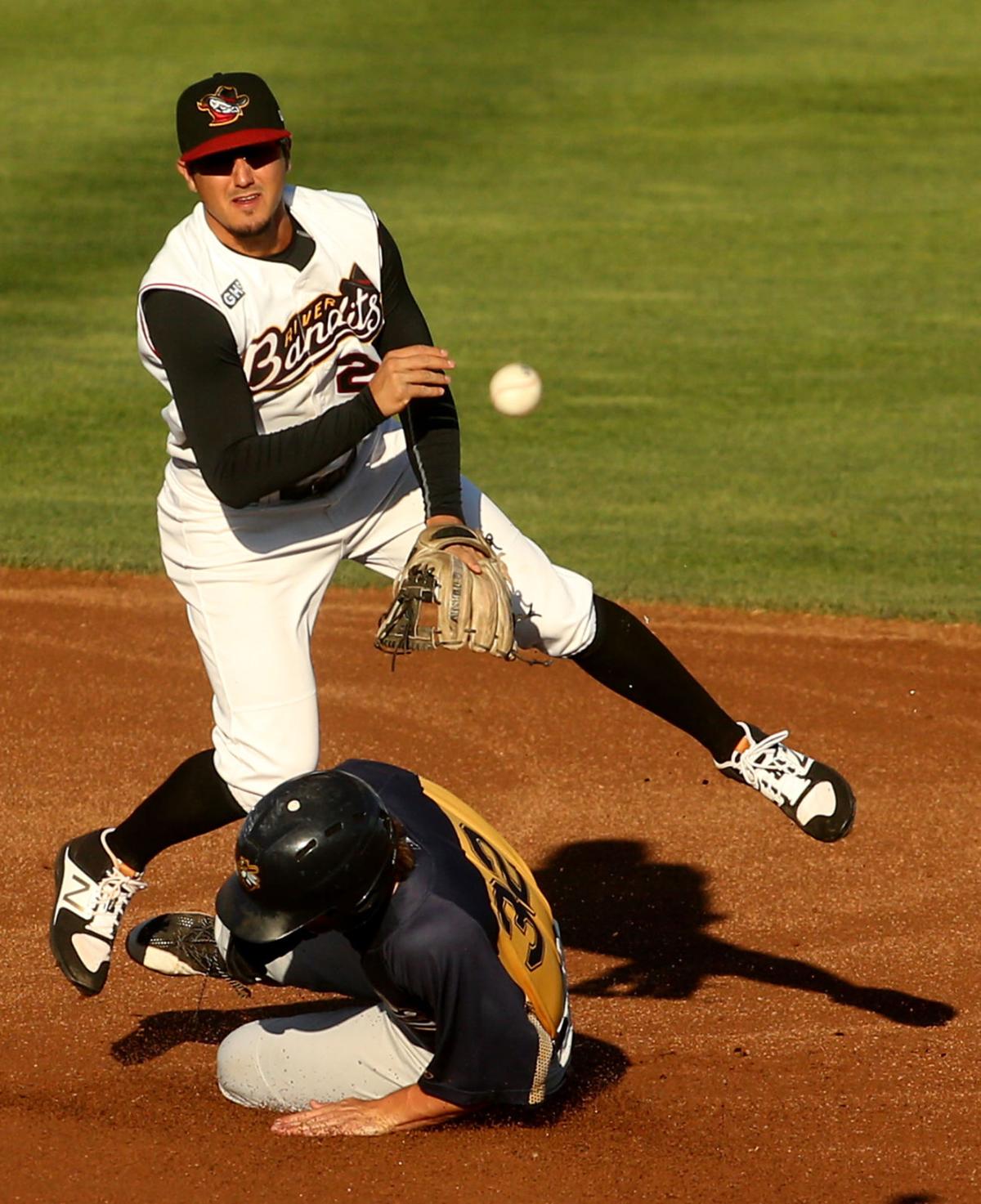 080417-bandits-bees-008