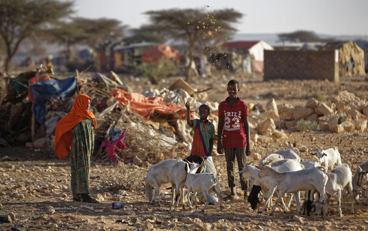 Somalia Droughts Toll