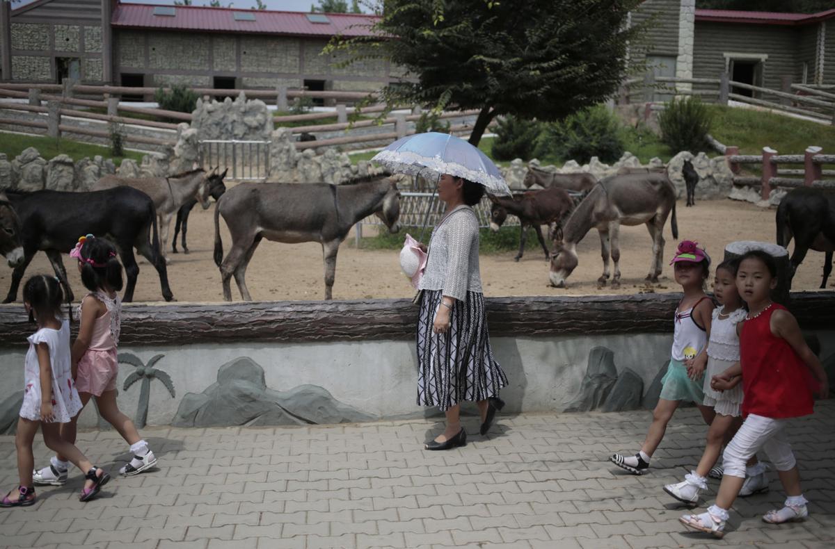 North Korea A Day At The Zoo