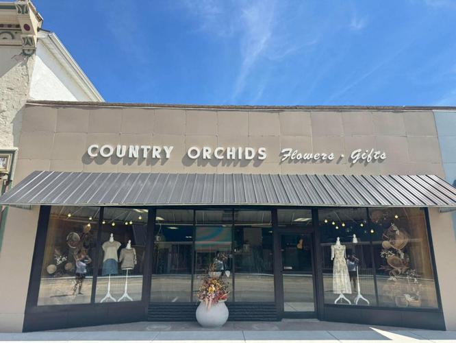 Country Orchids Florists & Boutique.jpg (copy)