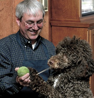 sweet meadows portuguese water dogs