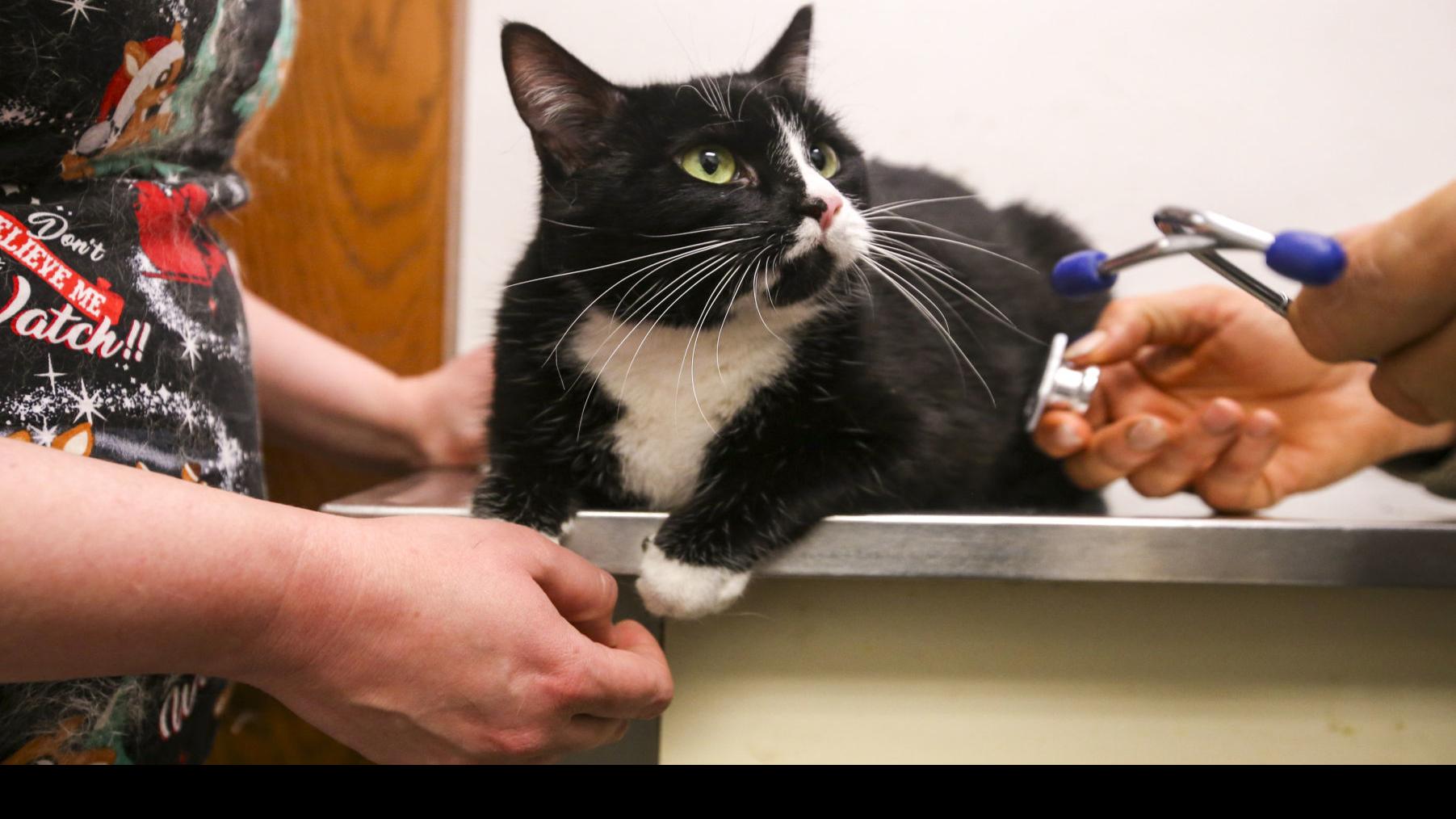 Humane Society Of Scott County Providing Animal Control In