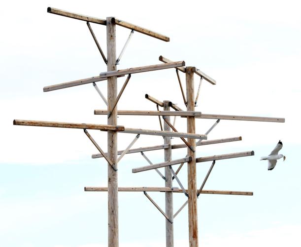 121918-Eagle-Perch-002