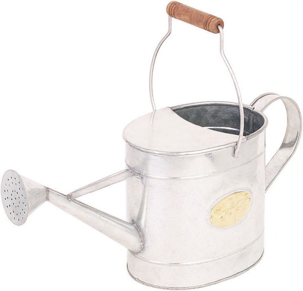Decorations can repurpose watering can
