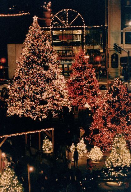 historic photos christmas lights in the q c local news qctimes com 5485c5797661f image jpg