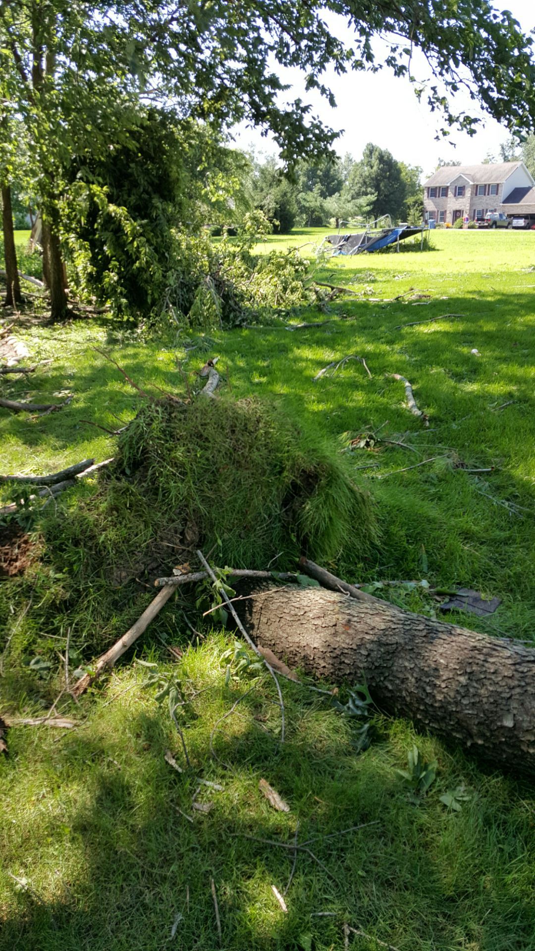 Tornado hits Port Byron Local News