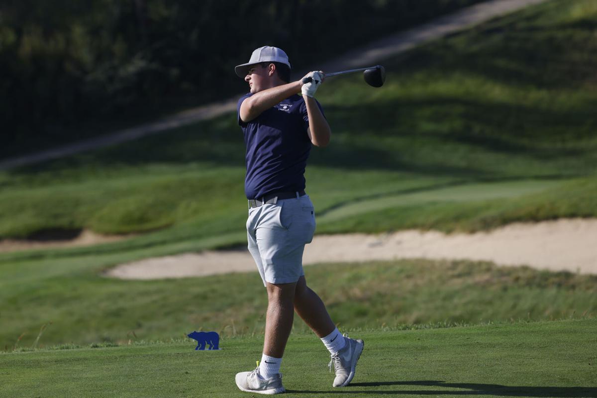 IHSA Class 1A boys golf