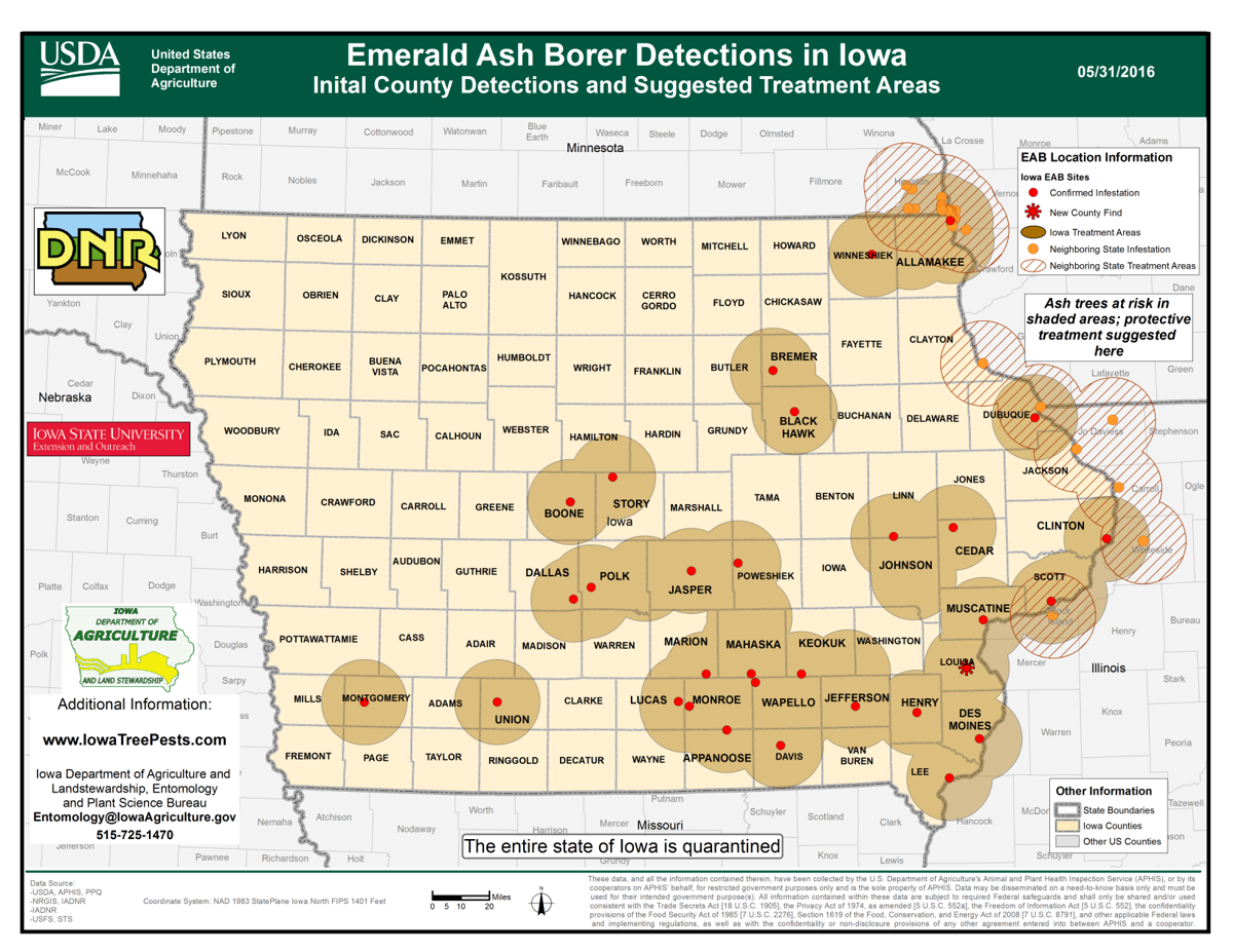 Exploding Tree Risk Map Iowa Ask the Times: Why are I-80 trees being removed?