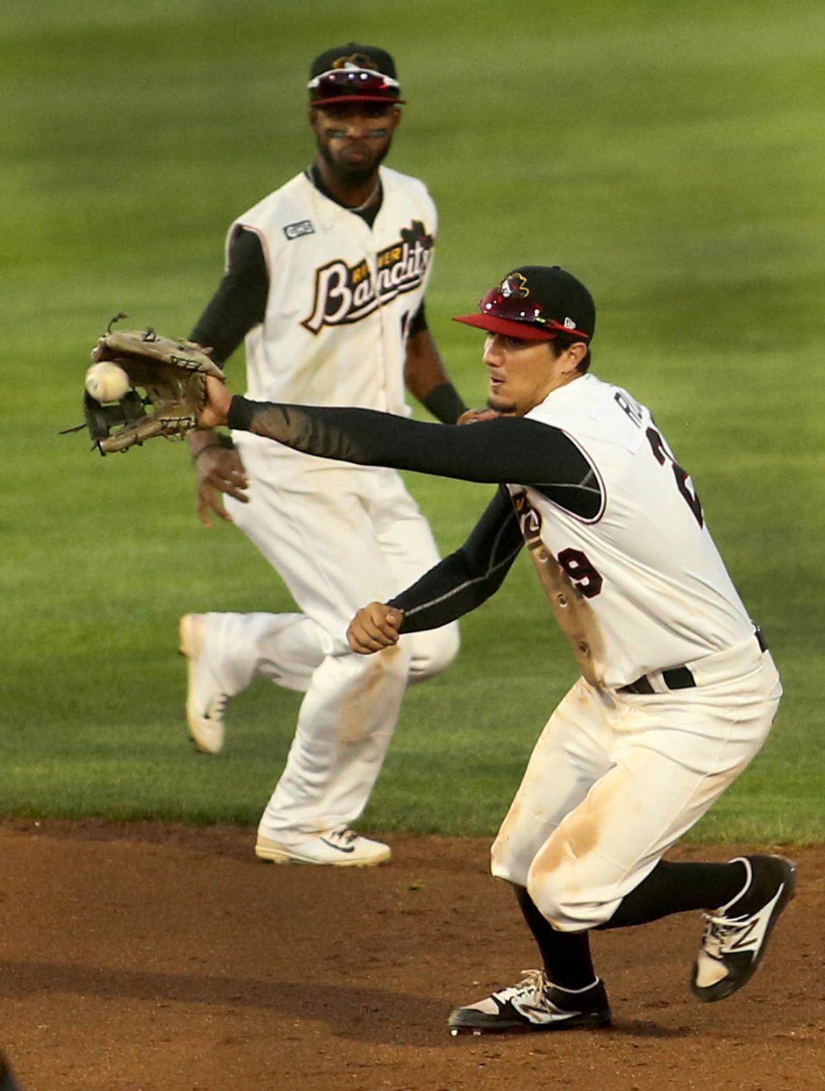 080417-bandits-bees-002