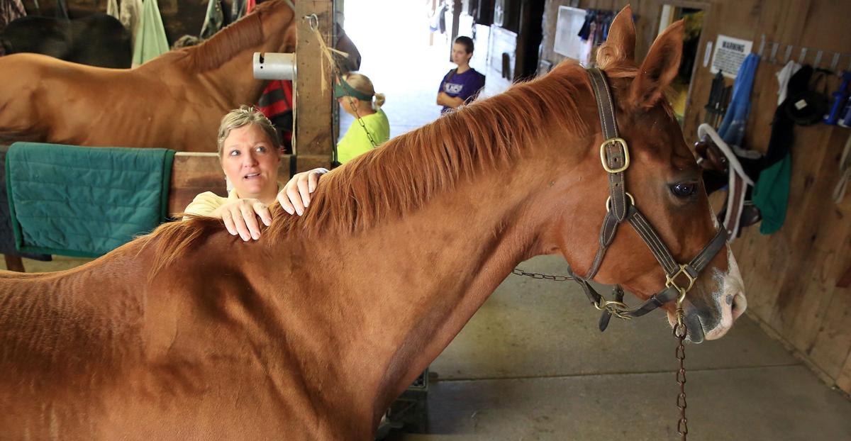 Massage therapist offers therapeutic skills to horses Business