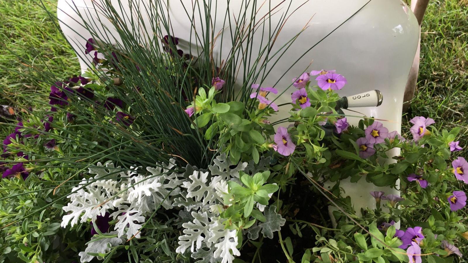 Complete List Of Clinton County Container Garden Winners Home Qctimes Clinton County Container Garden Winners