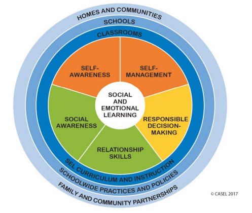 Emotional Competency - Revenge