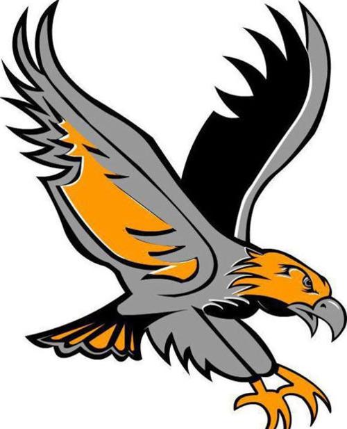 Easton Valley River Hawk logo