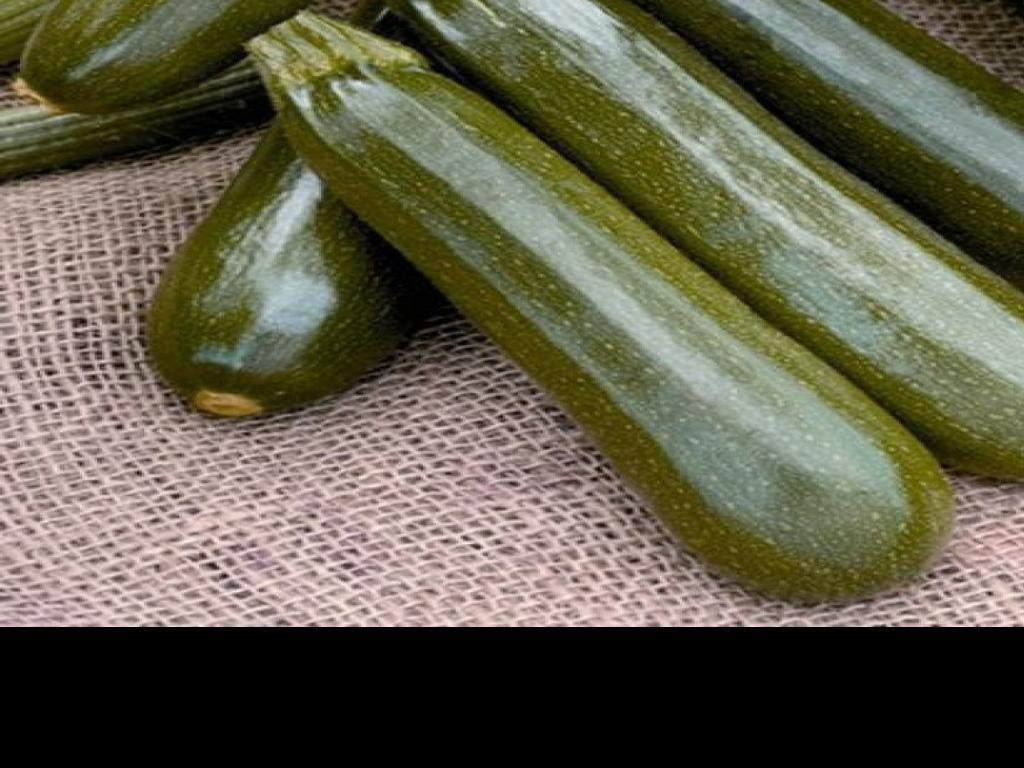 Wallpaper Zucchini Plants Don T Always Produce Home Garden Qctimes Com HD
