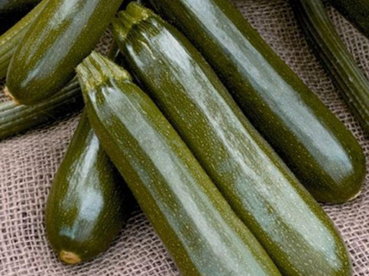 Download Zucchini Plants Don T Always Produce Home Garden Qctimes Com For Android Free Wallpaper Zucchini Plants Don T Always Produce Home Garden Qctimes Com For Free