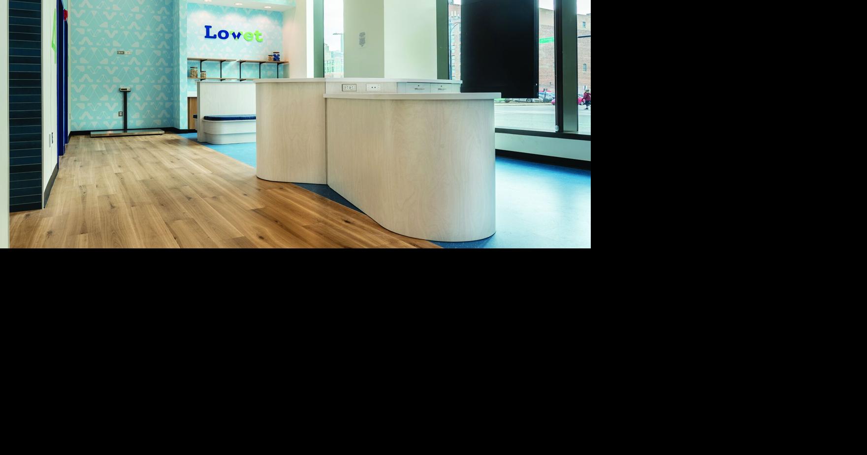 Lovet pet hospital expands into Queen Creek | Business