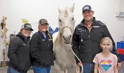 QC vet clinic brings high-end care for horses