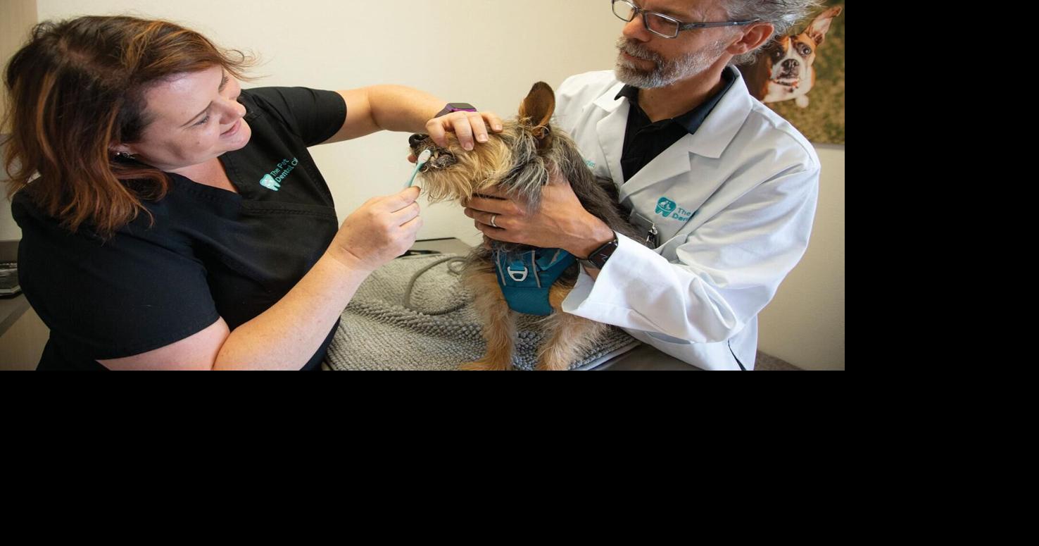QC vet opens Valley’s first pet dental clinic Business