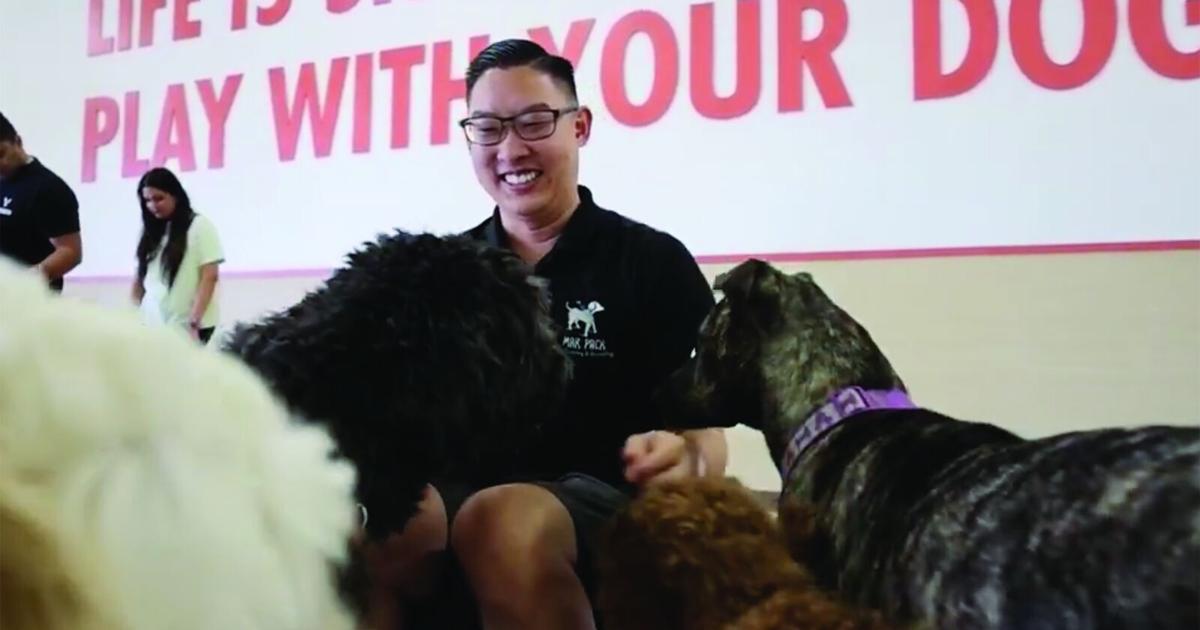 Pandemic pet boom inspired East Valley dog business