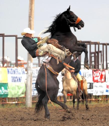 lander wyoming 4th of july rodeo