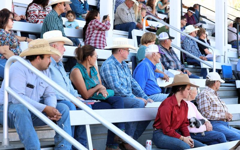 Forsyth Mt Ranch Rodeo Eastern Montana Ranch Rodeo Finals | Sports | rangerreview.com