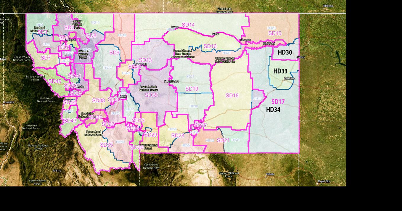 Two Dawson County residents file for state senate election News