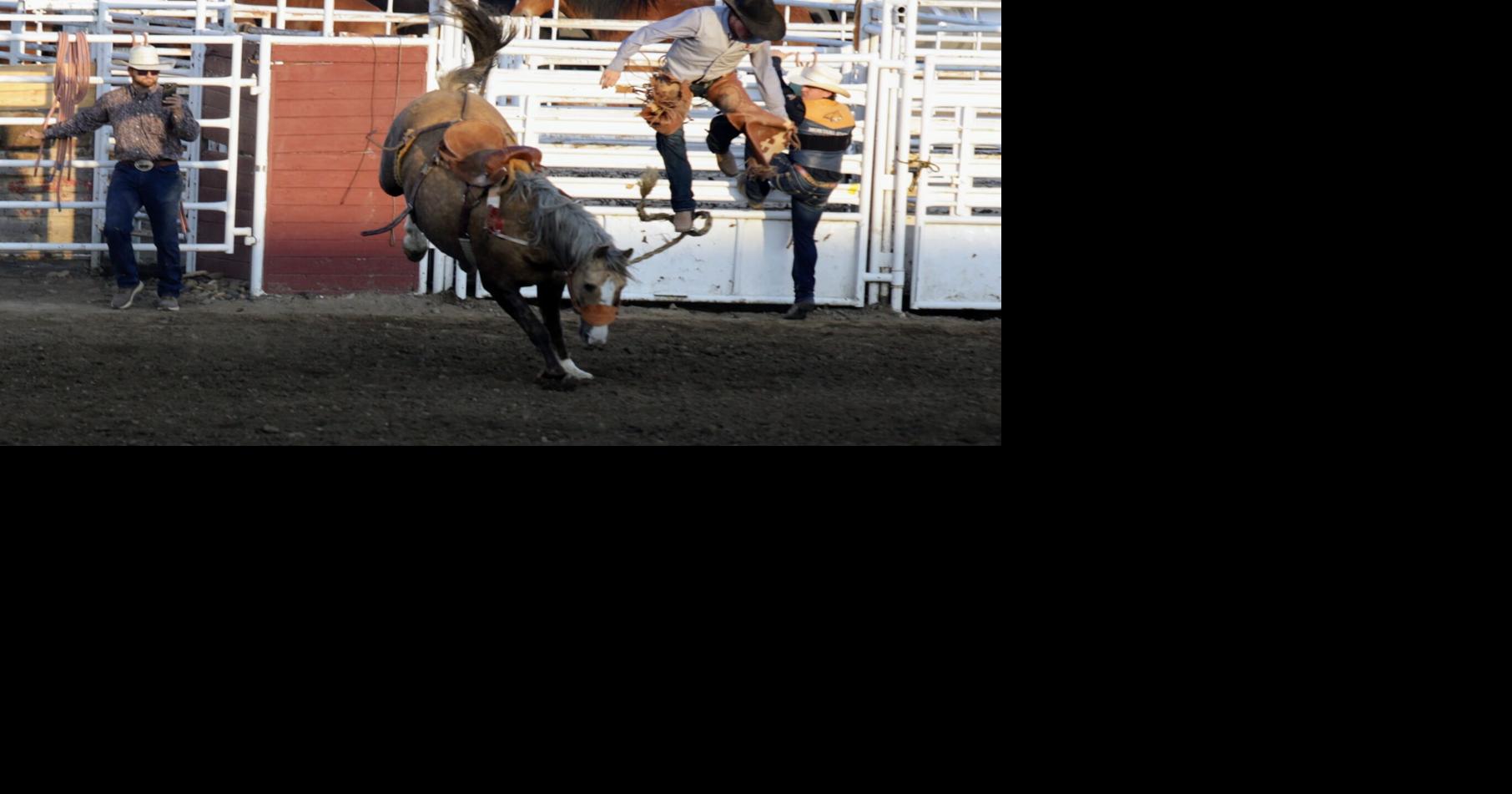 Dawson Community College hosts rodeo | Sport | rangerreview.com