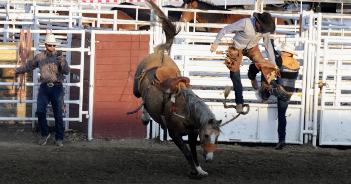 Dosen Rodeo Dawson Community College hosts rodeo | Sport | rangerreview.com