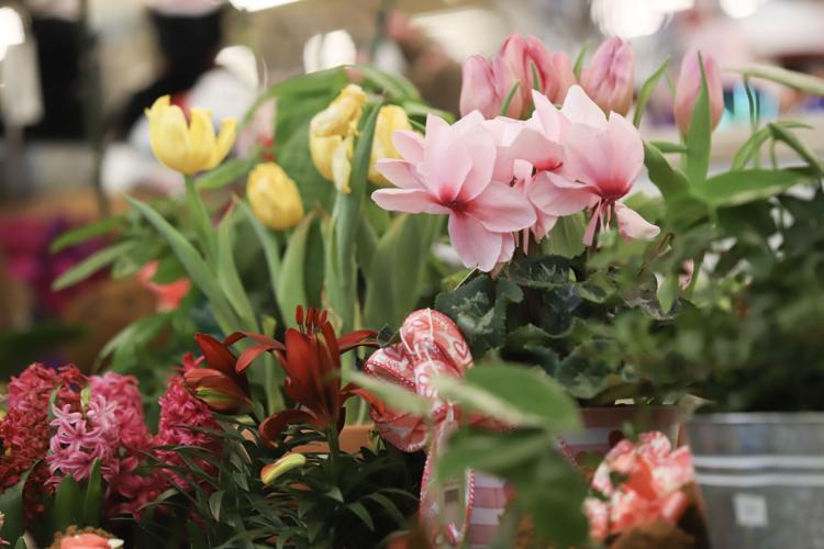 Glendive flower shops prepare for lovely Valentine's Day News