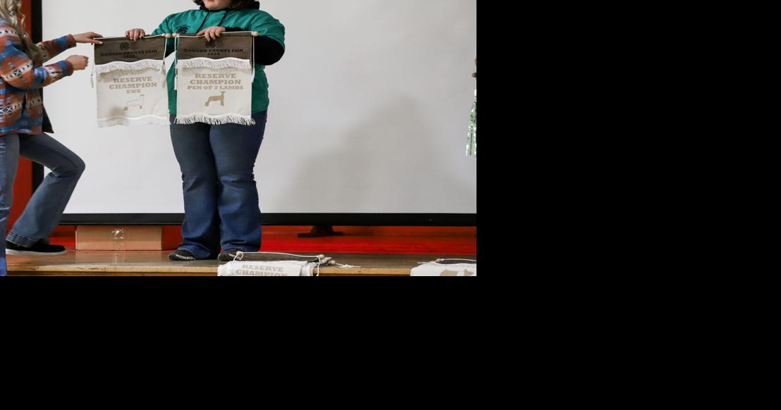 Dawson County 4H members honored for in 2023 News
