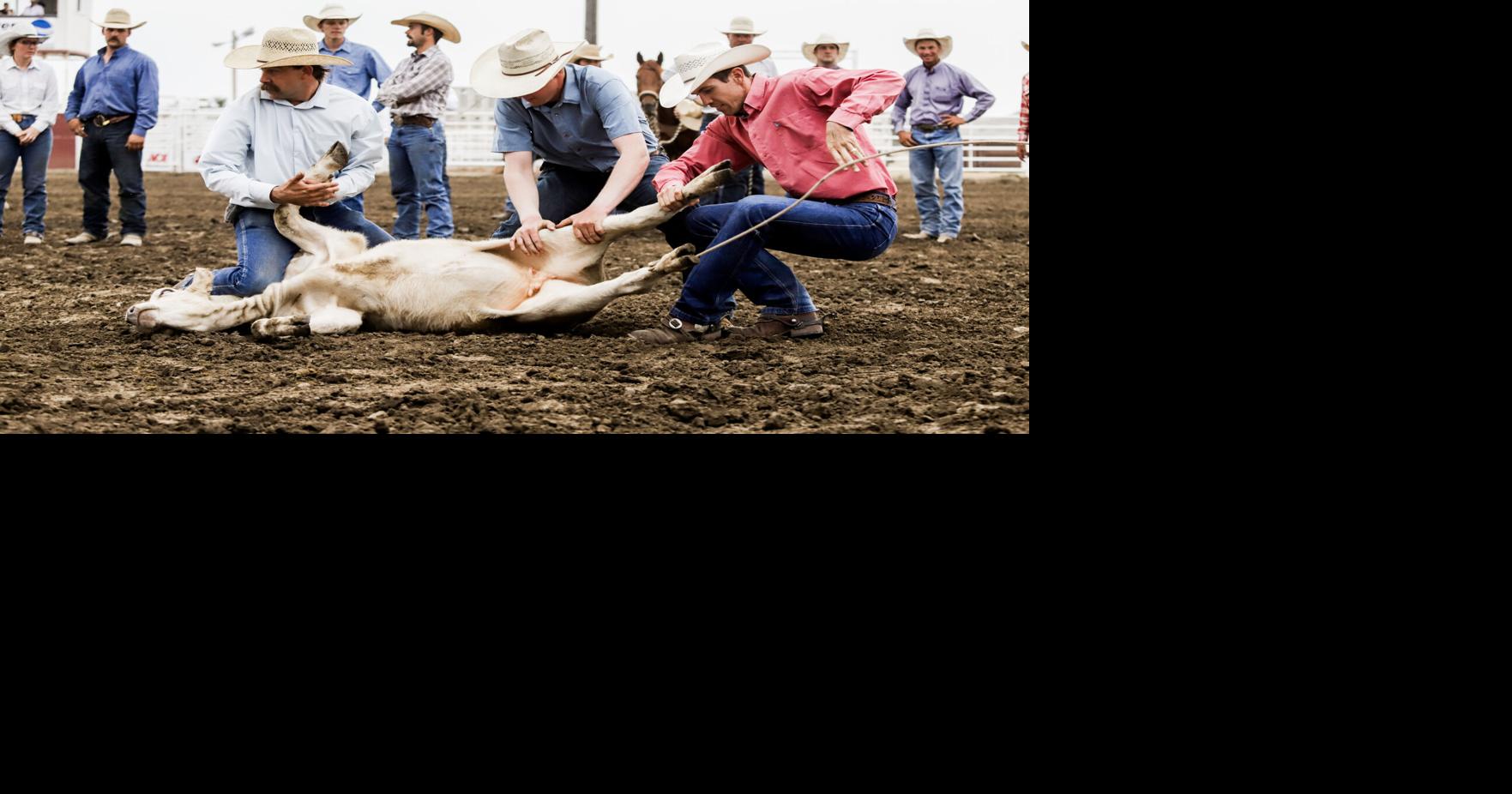 Ranch Rodeo | Local | rangerreview.com